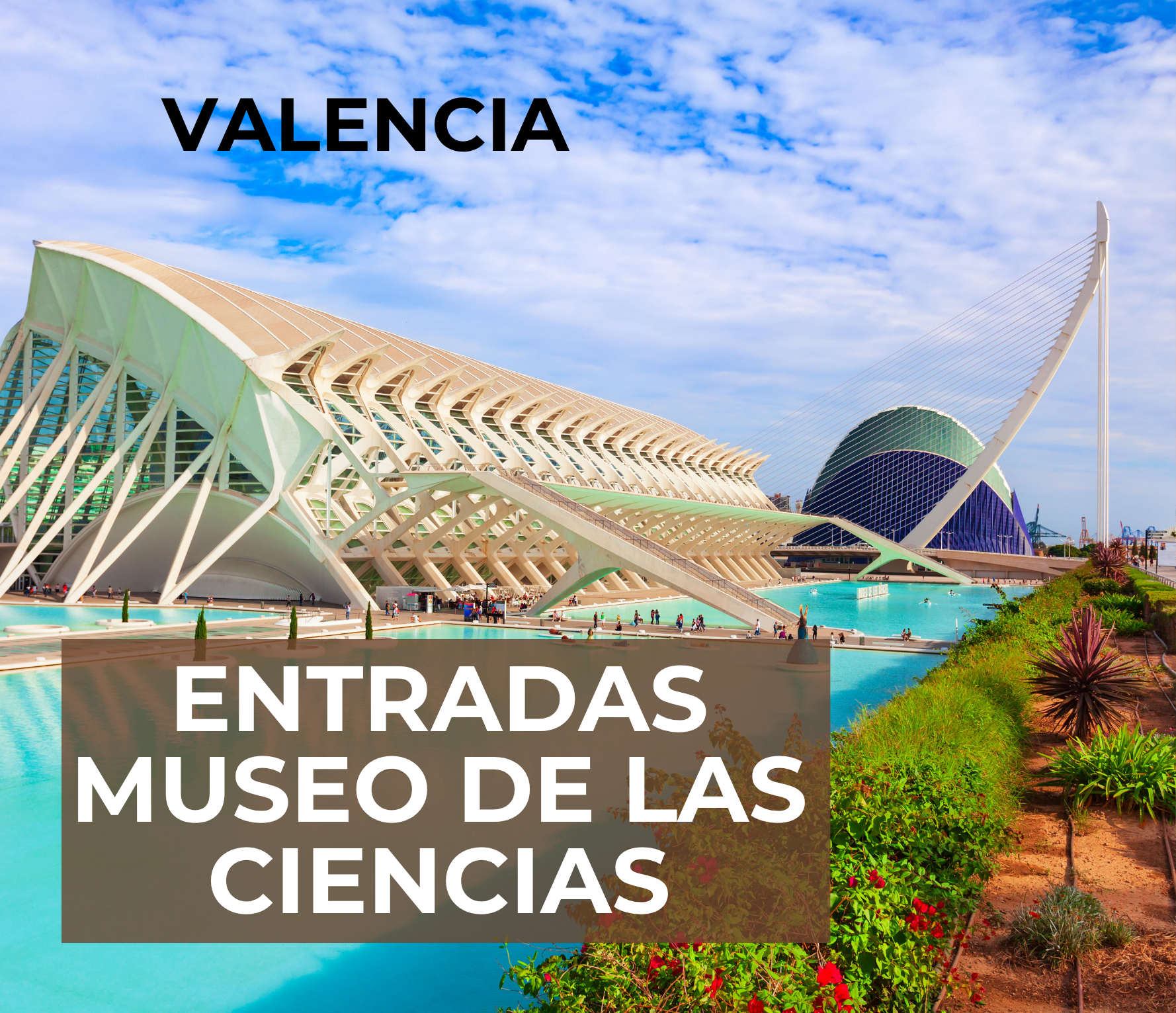 Entradas Museo de las ciencias 